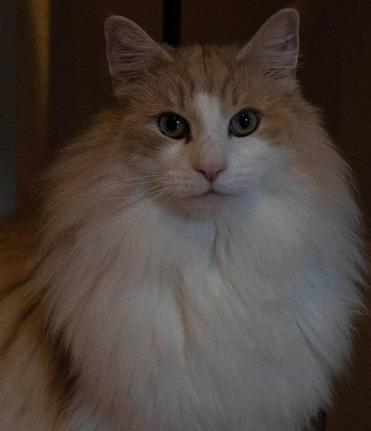 Photographies Maëlle