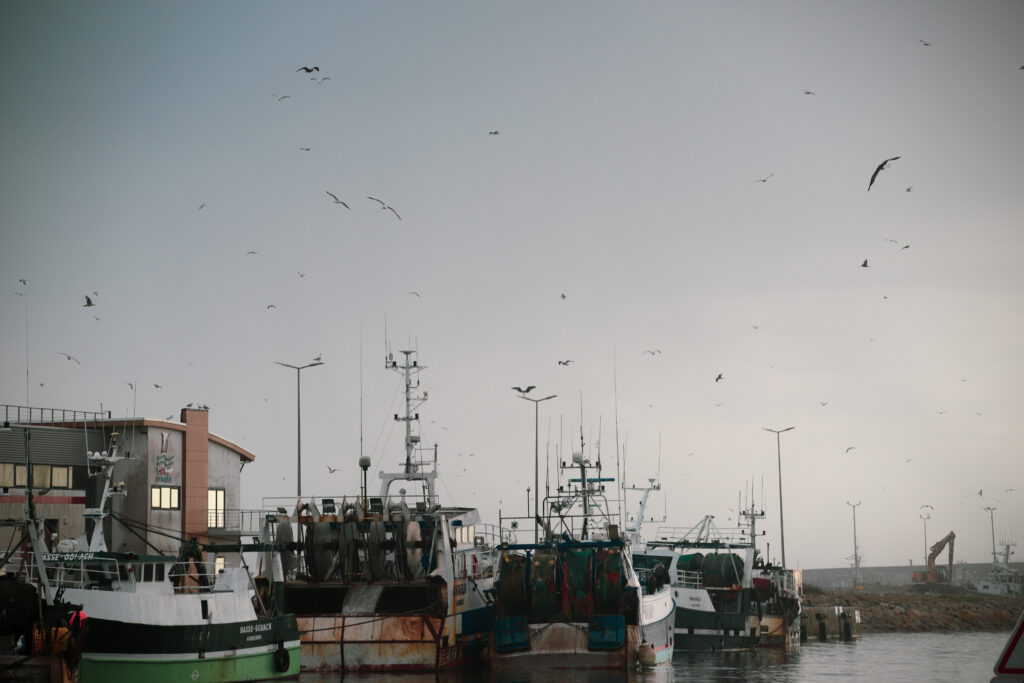 En voyage avec Rémy