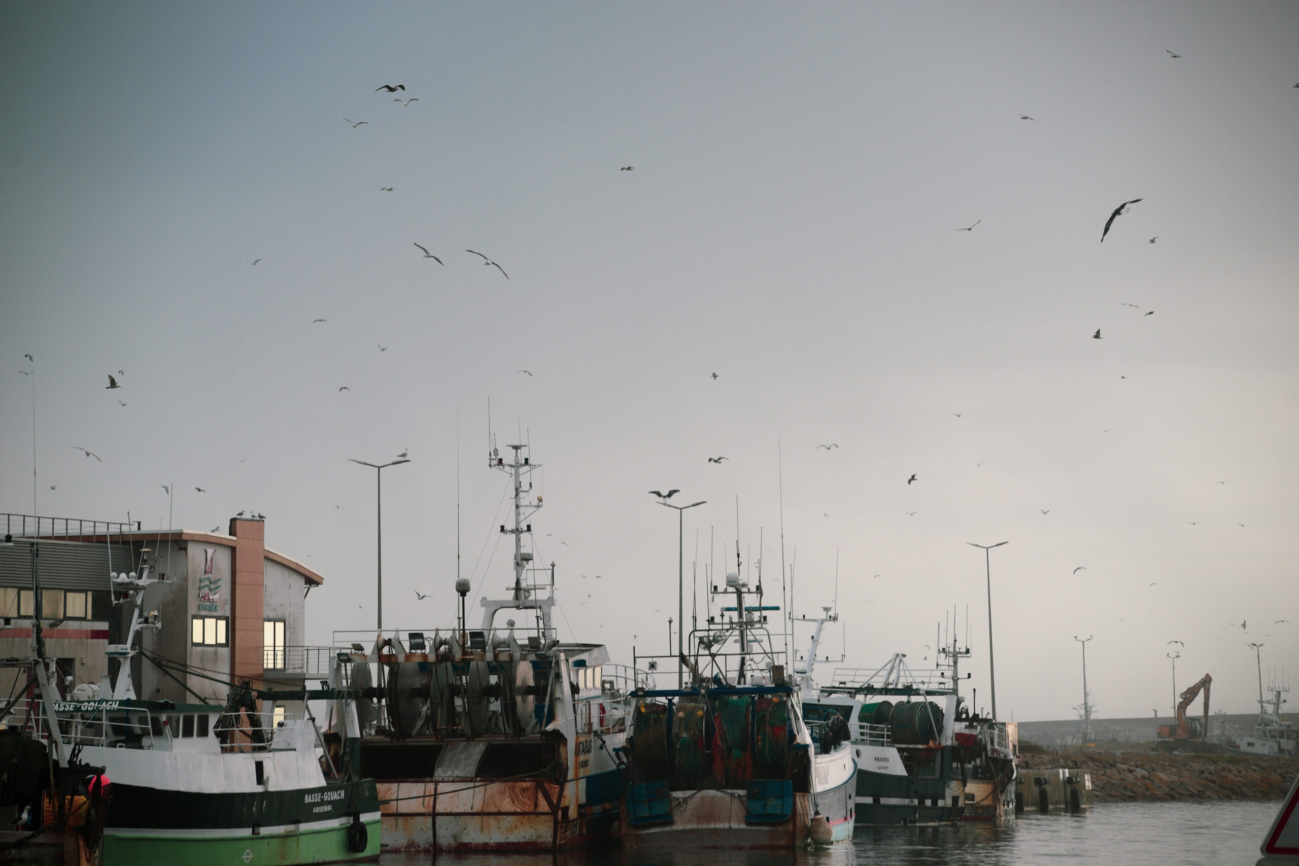 En voyage avec Rémy