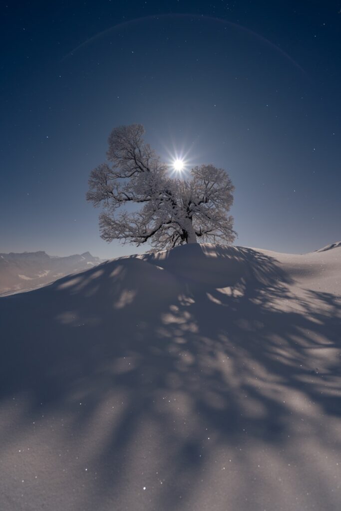 A snow covered hill with a tree on top of it