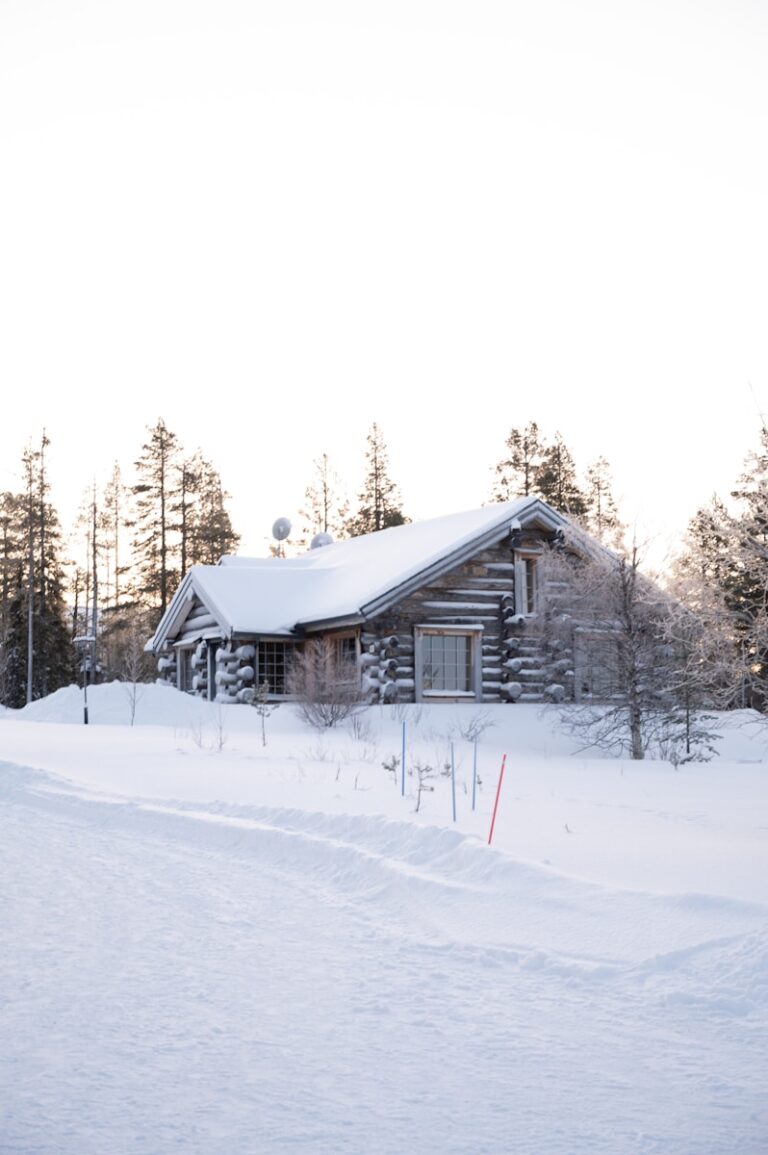 Snow-covered cabin surrounded by trees in winter.