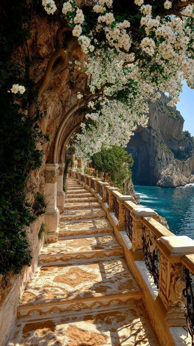 téléchargement (8)